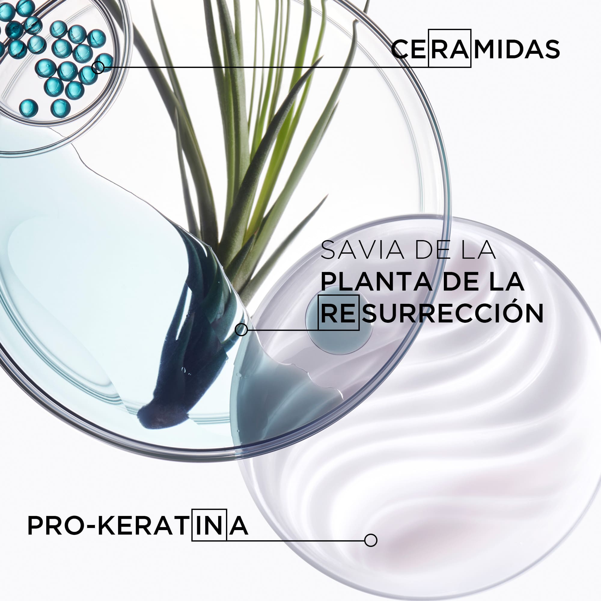 Máscara Force Architecte | 200ml | Kérastase Resistance - Imagen 4