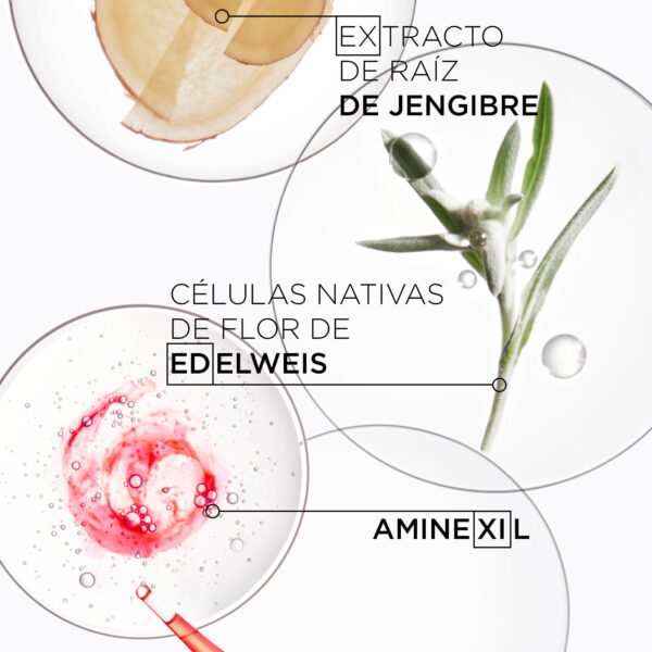 Shampoo Nutri-Fortifiant | 250 ml | Kérastase Genesis - Imagen 5